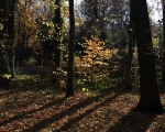 Luhačovická přehrada v podzimním kabátku (16)