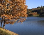 Luhačovická přehrada v podzimním kabátku (2)