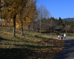 Luhačovická přehrada v podzimním kabátku (5)