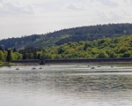 Luhačovická přehrada 9.5.2020  (3)