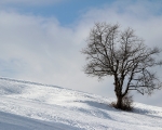 Luhačovice vlek 3.2. 15 (17)