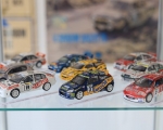 Výstava modelů aut  (17)