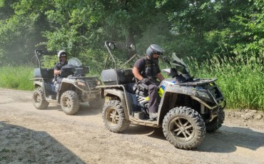 Kontrola v lese
