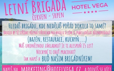 brigveg8.6