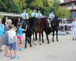 Koncert Hudby Hradní stráže a Policie ČR  (27)