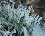 Luhačovice 17. 1. 2016 (14)