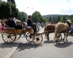 100 let od prohlášení Luhačovic za místo léčebné (49)