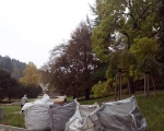 img_20141014_075247