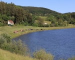 STARBAITS – CUP LUHAČOVICE 2020 (15)